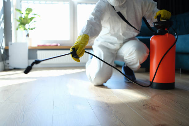 Reliable Hoarding Cleanup contractor in Pittsfield, IL by Dulley Family Biohazard Services